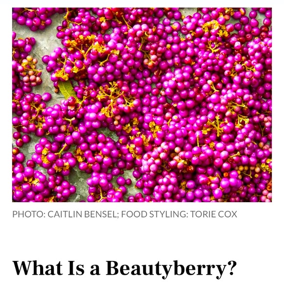 One half pint jar of beauty berry jelly from Yellow Flower Farm. Organic Non gmo - Picture 2 of 8